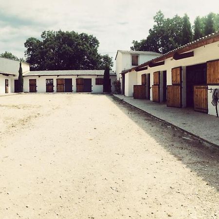 Maison Au Milieu Des Chevaux LʼIsle-sur-la-Sorgue Buitenkant foto
