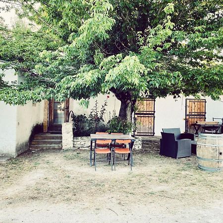 Maison Au Milieu Des Chevaux LʼIsle-sur-la-Sorgue Buitenkant foto