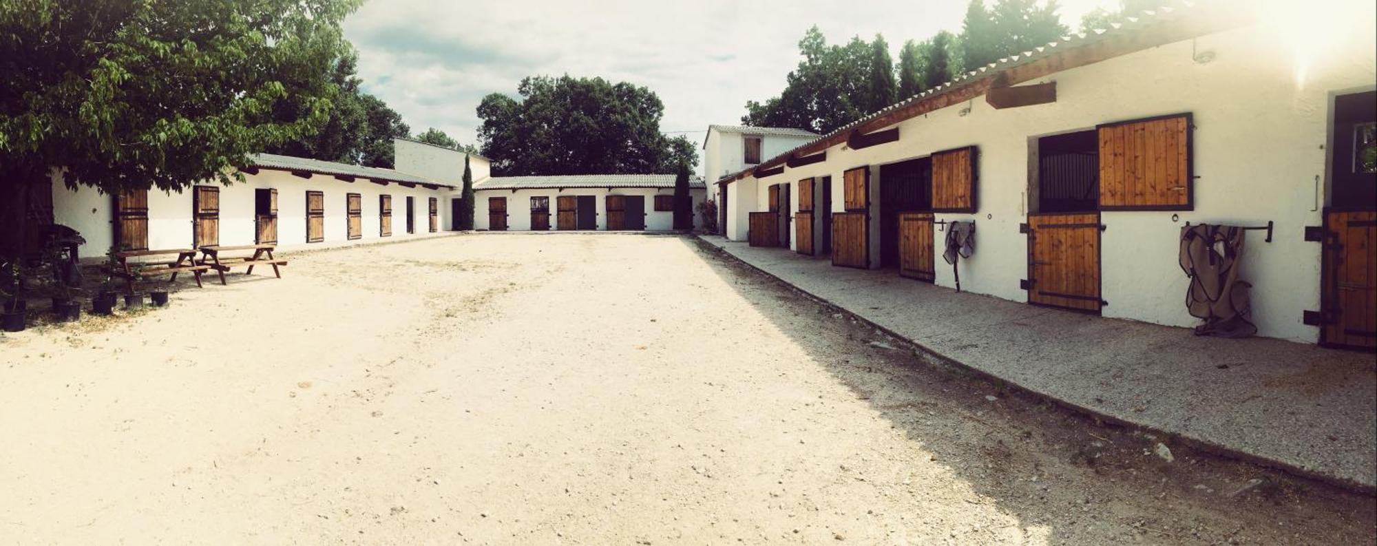 Maison Au Milieu Des Chevaux LʼIsle-sur-la-Sorgue Buitenkant foto